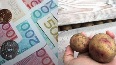 Økt målpris ved langtidslagring_illustrasjon