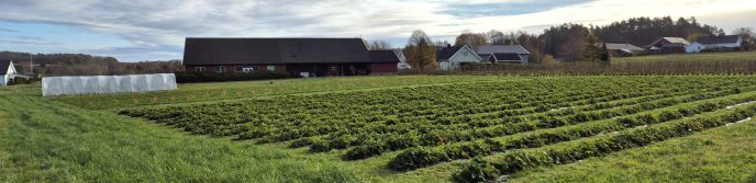 Kryssgaarden Foto Juni Solstad Karlsen