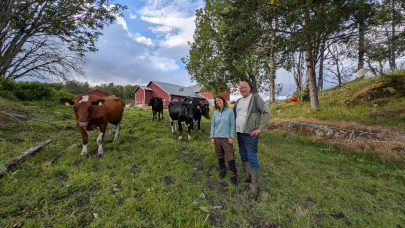 PXL 20250812 143933486