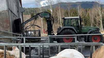 Omroring uten dyr i fjoset Foto Ingrid Terum