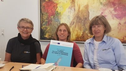 Interreg Gerd Liv og Sigrid