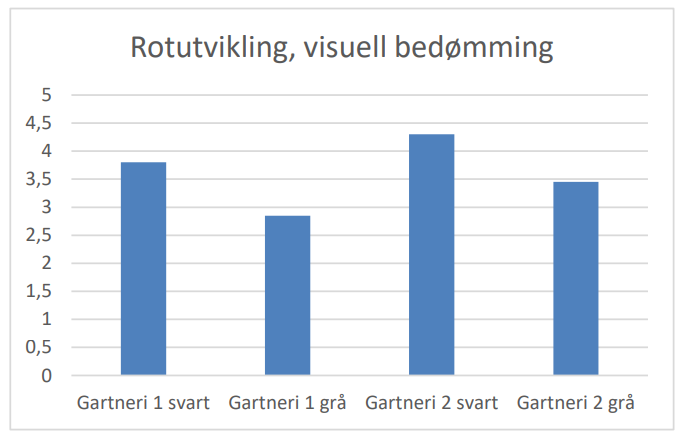 Figur 1 Figuren viser rotutviklingen i svarte og gra potter Det er tydelig flere rotter i de svarte enn i de gra potter