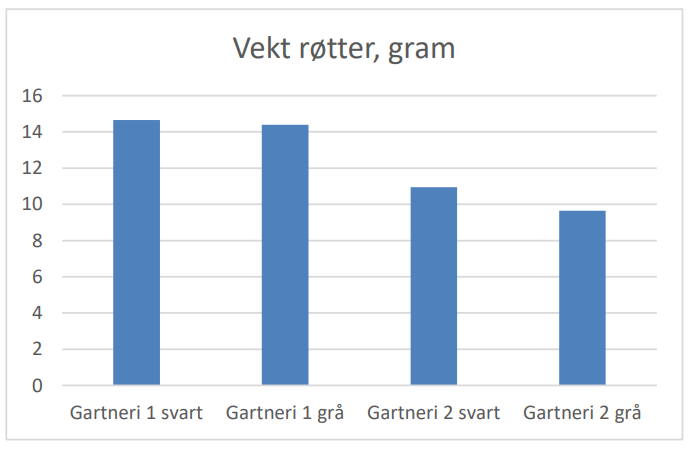 Figur 2 Figuren viser vekt av rotmassen til planter dyrket i svare og gra potter