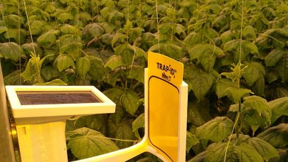 Thumbnail IMG 20251012 101014